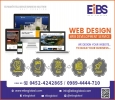 Passionate Web Design Company for your business